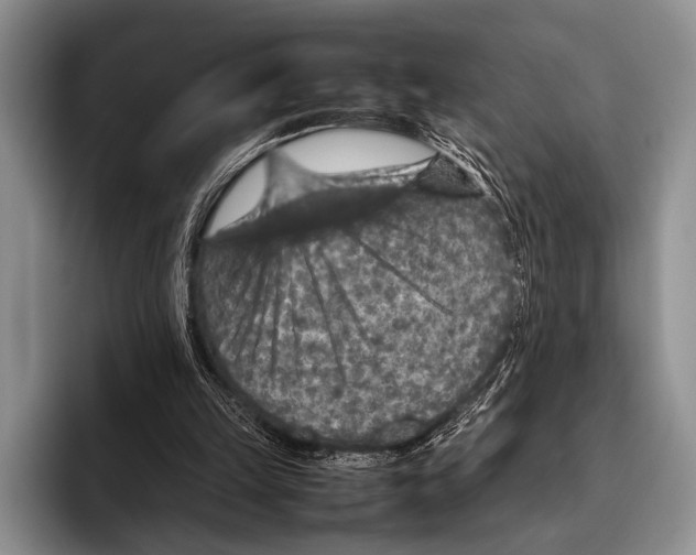 X0000095940149200802081244