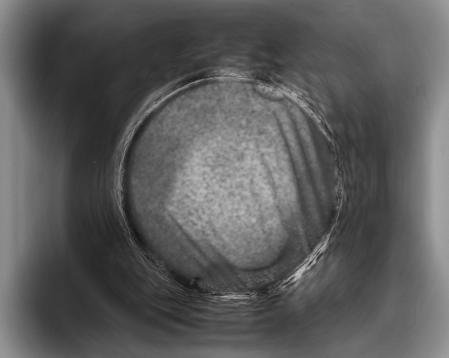 X0000095940151200802081244