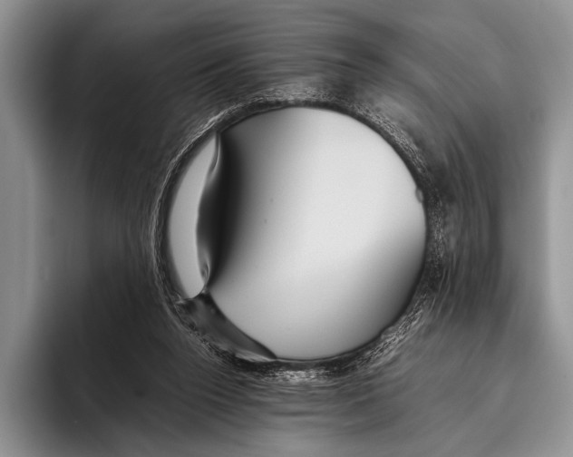 X0000095940160200802081244