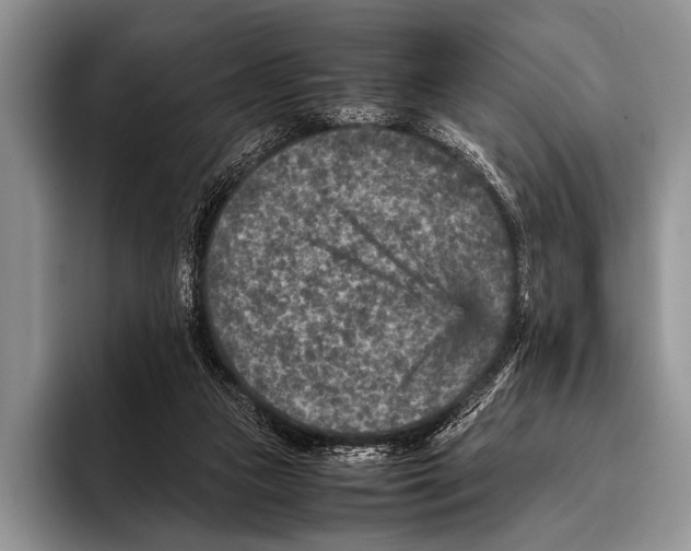 X0000095940161200802081244