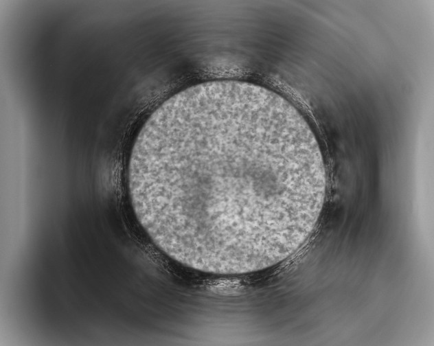 X0000095940162200802081244