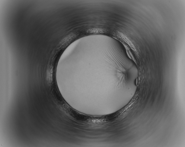 X0000095940163200802081244