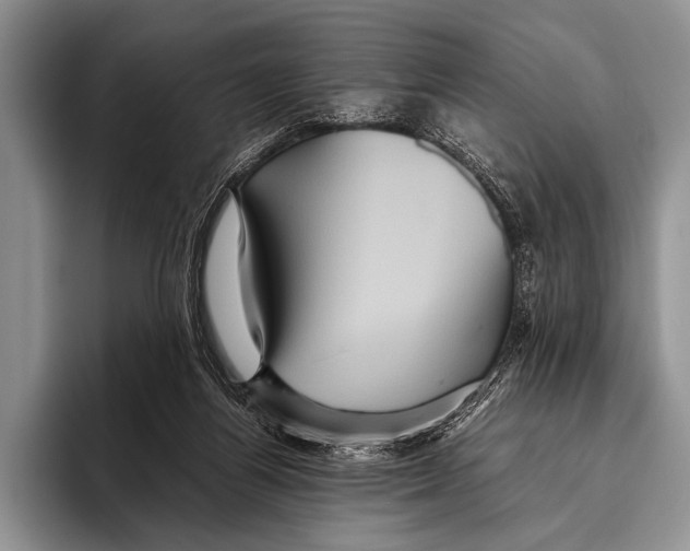 X0000095940164200802081244