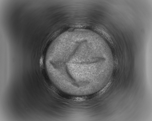 X0000095940166200802081244