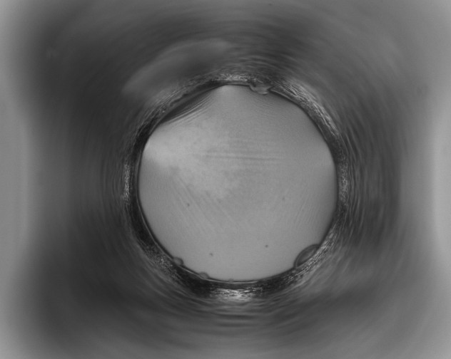 X0000095940167200802081244