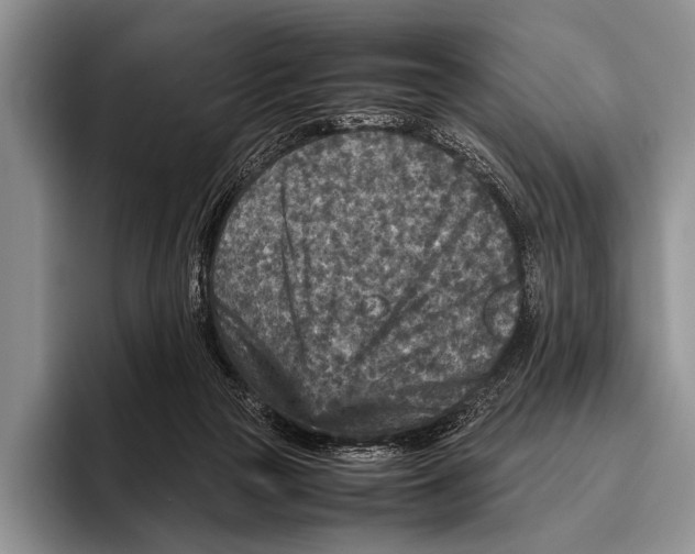 X0000095940169200802081244