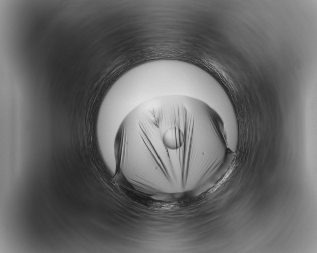 X0000095940170200802081244