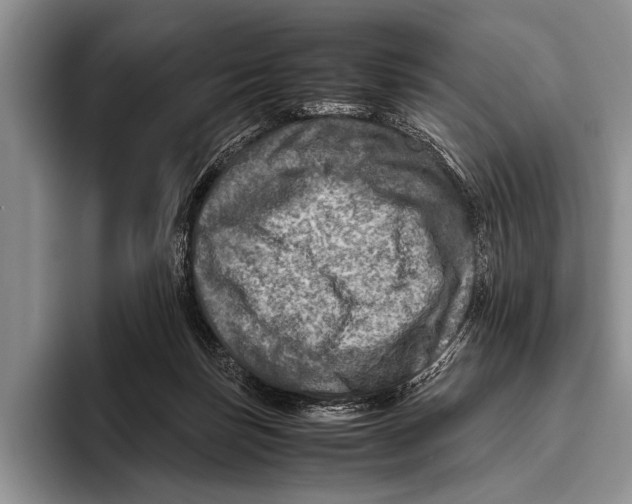 X0000095940171200802081244