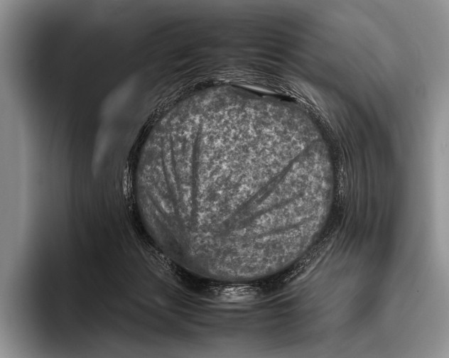 X0000095940173200802081244