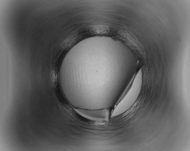 X0000095940176200802081244