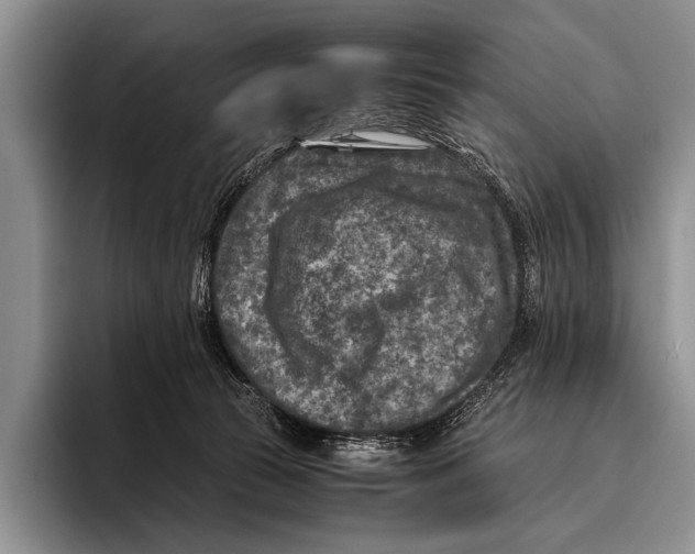 X0000095940177200802081244