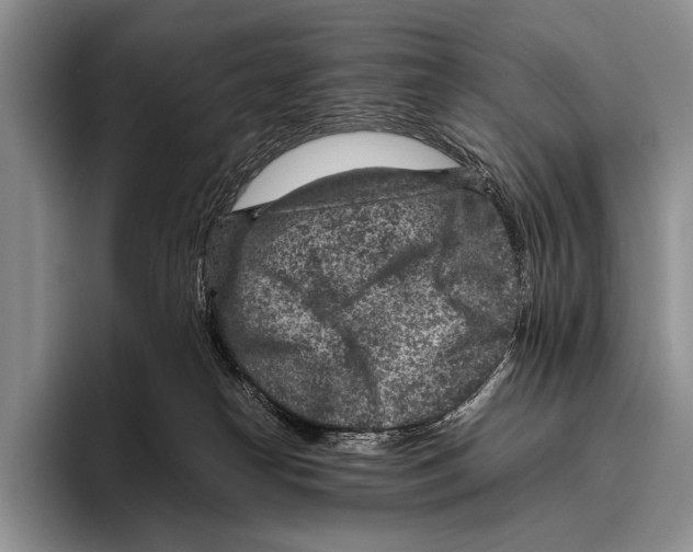 X0000095940182200802081244