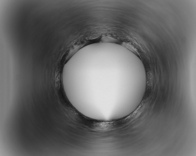 X0000095940184200802081244