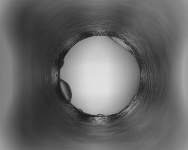 X0000095940188200802081244