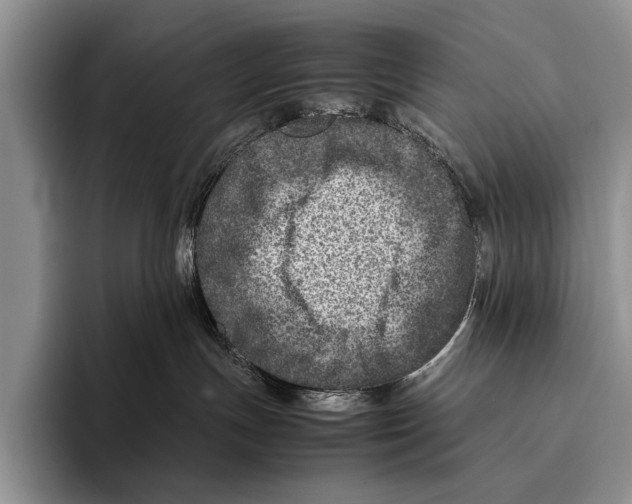 X0000095940191200802081245