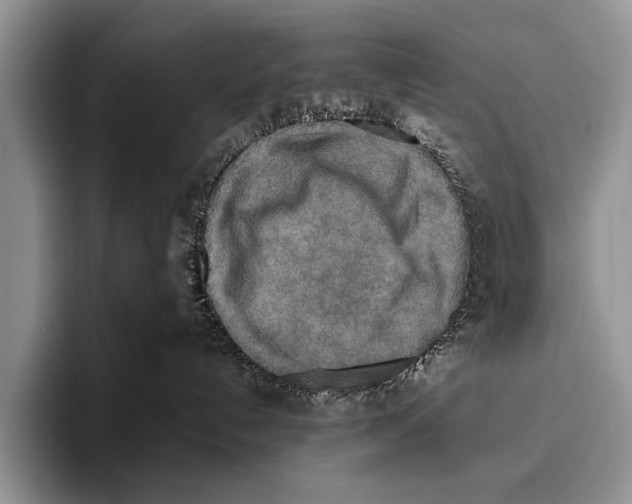 X0000095940192200802081245