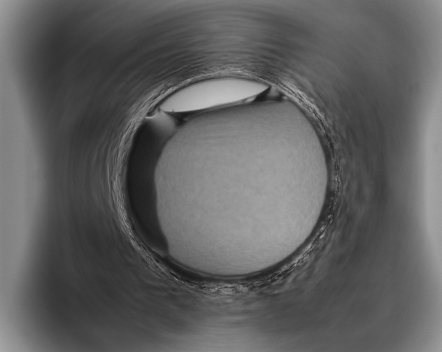 X0000095940193200802081244