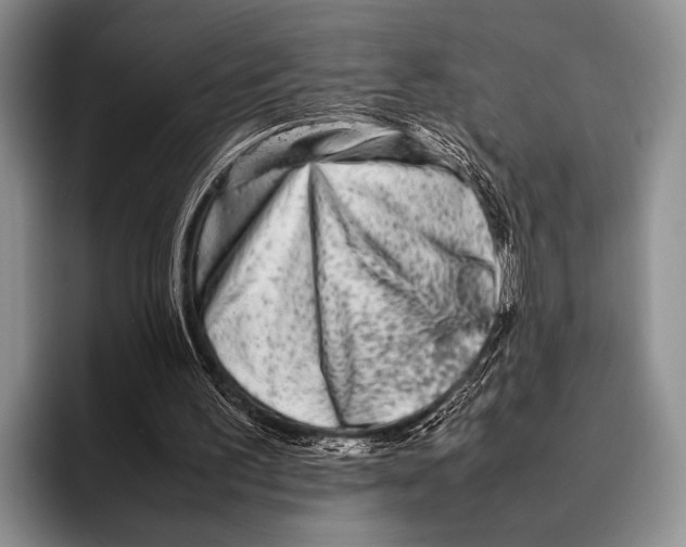 X0000095940195200802081244