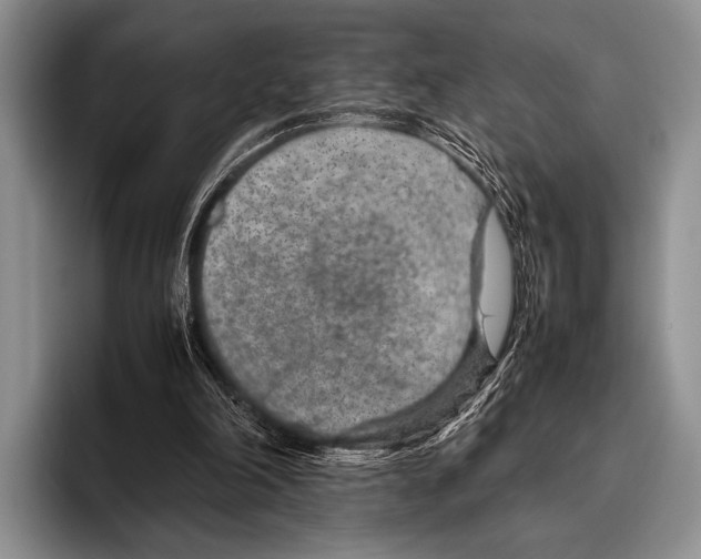 X0000095940198200802081244