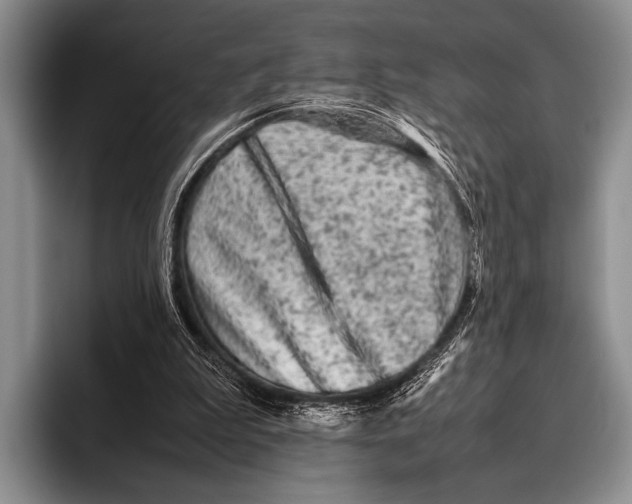 X0000095940199200802081244