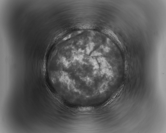 X0000095940202200802081244