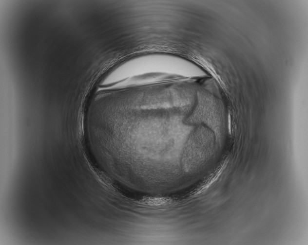 X0000095940205200802081244