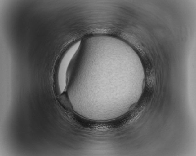 X0000095940207200802081244