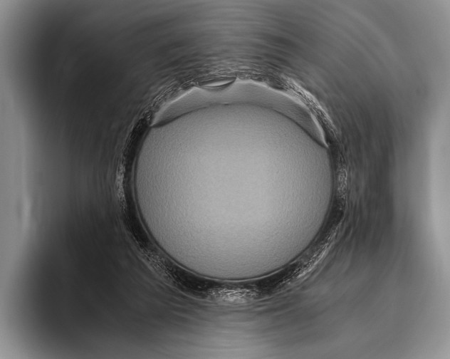 X0000095940209200802081244