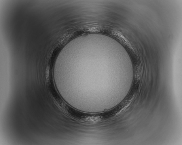 X0000095940213200802081244