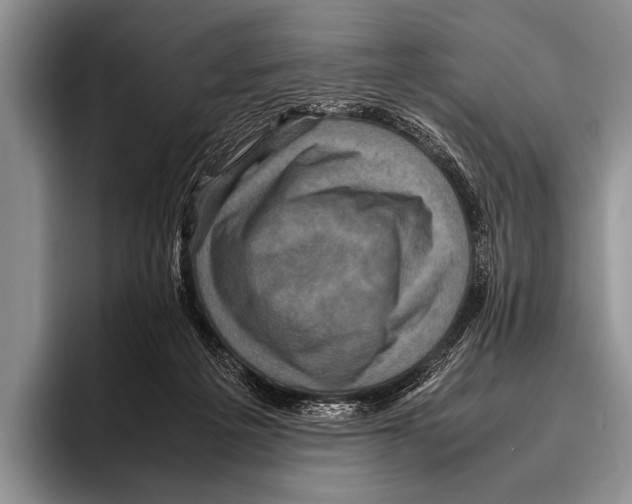 X0000095940217200802081244