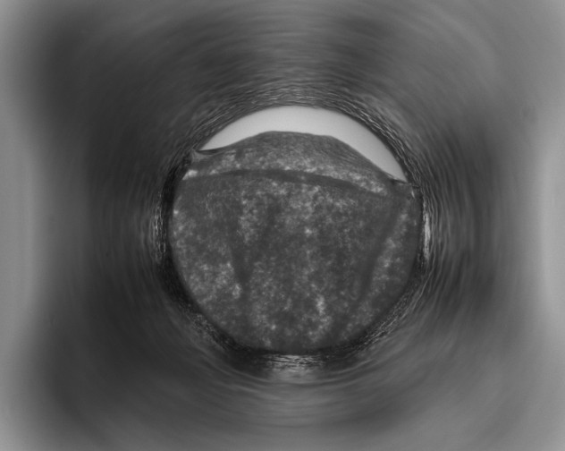 X0000095940222200802081244