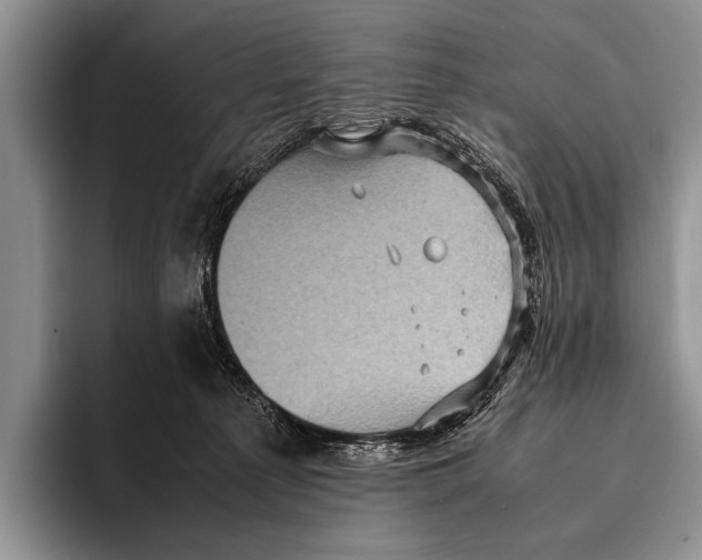 X0000095940225200802081243