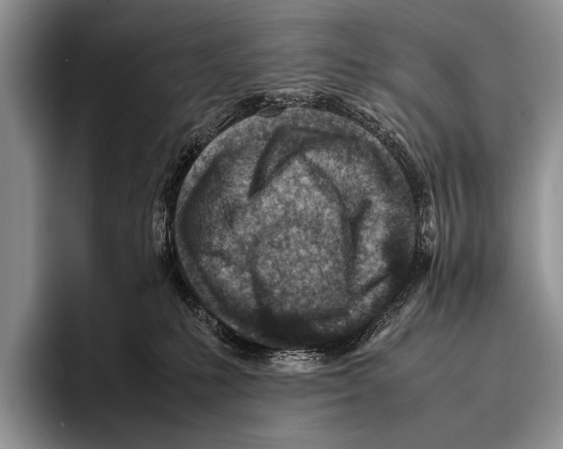 X0000095940231200802081243