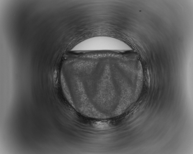 X0000095940232200802081243