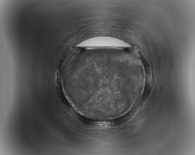 X0000095940233200802081243