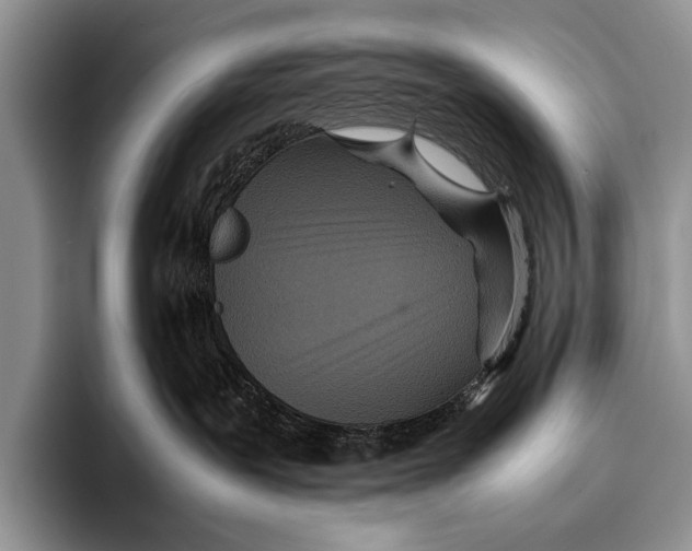 X0000095940239200802081243