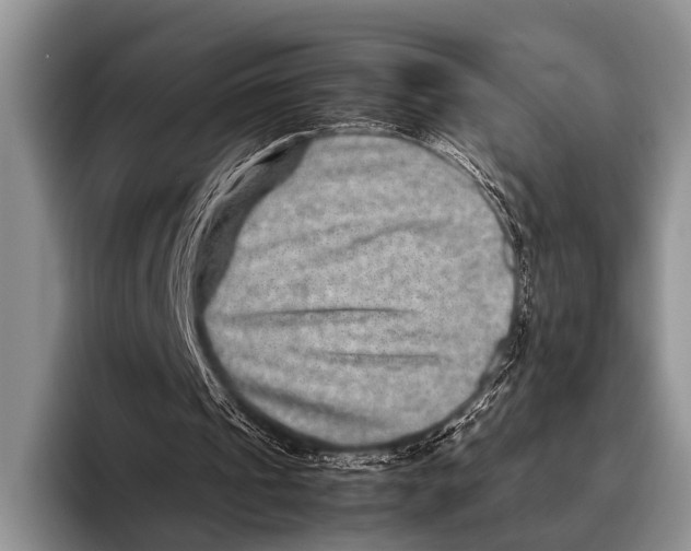 X0000095940241200802081243