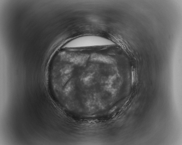 X0000095940243200802081243