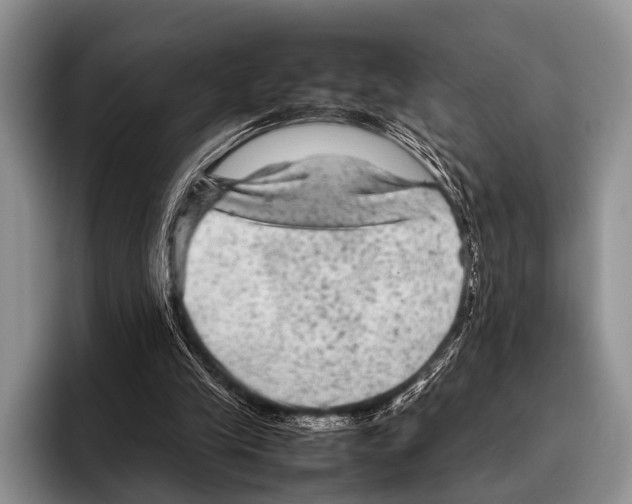 X0000095940245200802081243