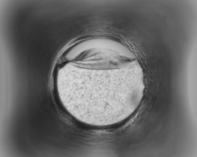 X0000095940246200802081243