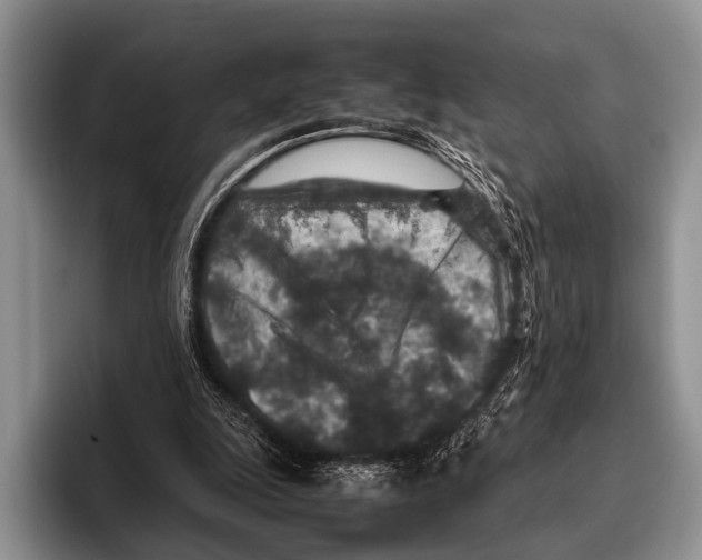 X0000095940247200802081243