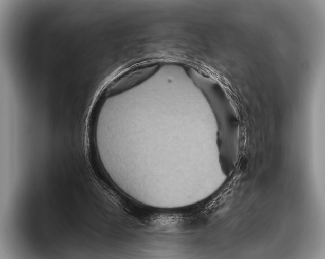 X0000095940248200802081243