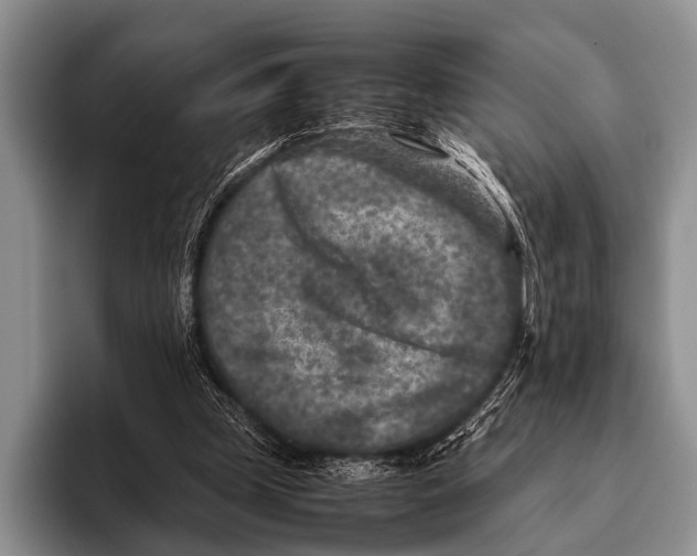 X0000095940249200802081243