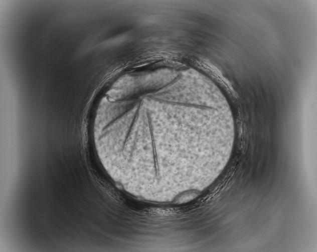 X0000095940250200802081243