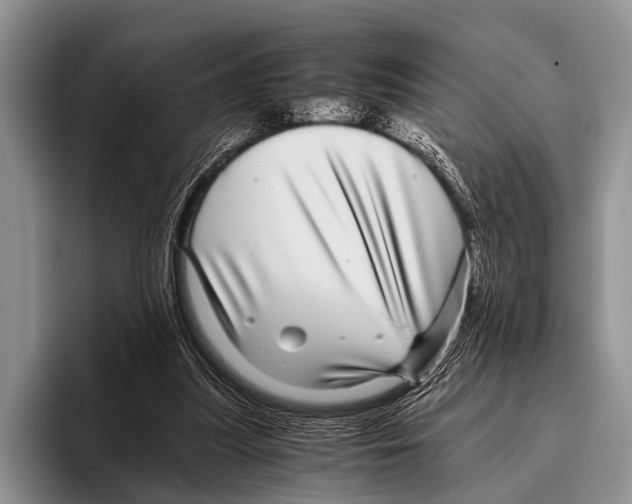 X0000095940251200802081243