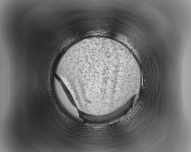 X0000095940253200802081243