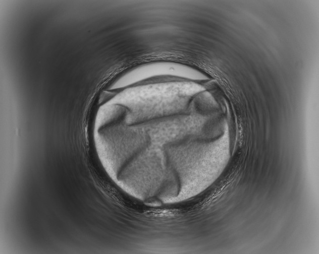 X0000095940254200802081243