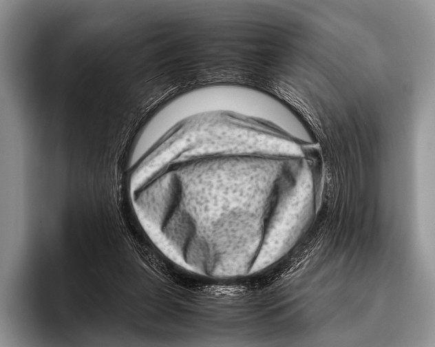 X0000095940255200802081243