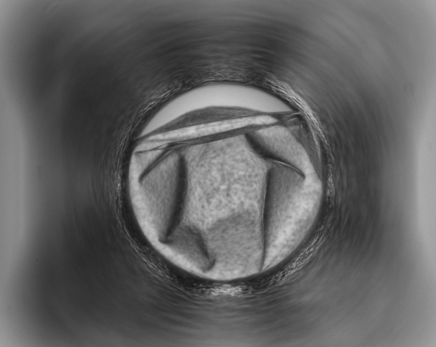 X0000095940257200802081243