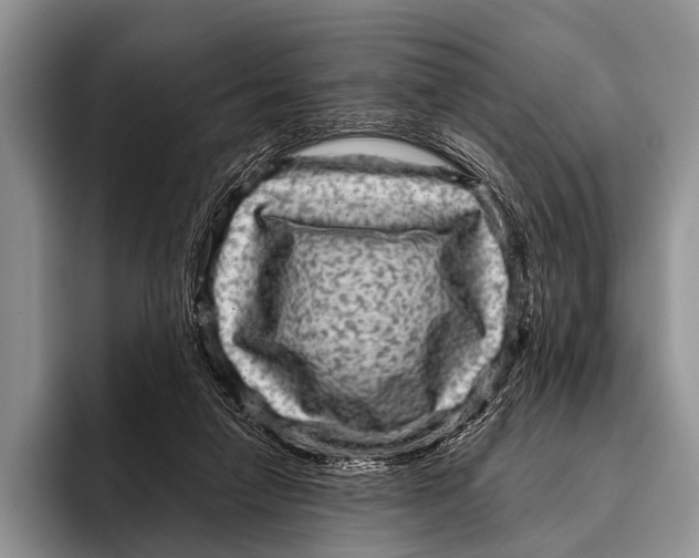 X0000095940258200802081243